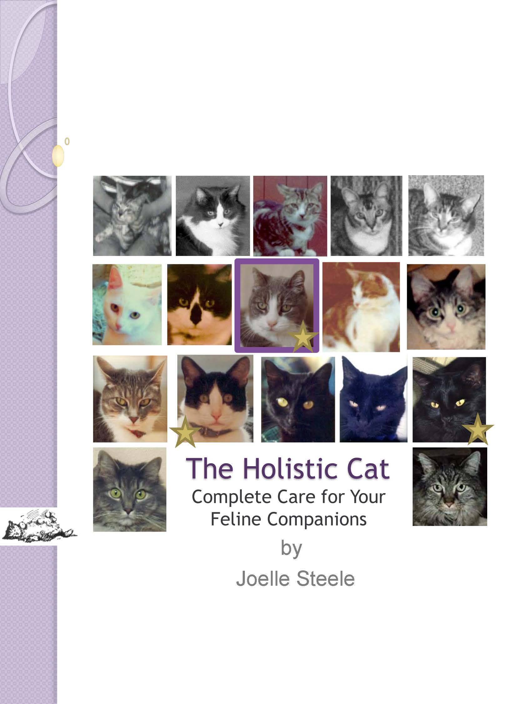 Holistic Cat by Joelle Steele